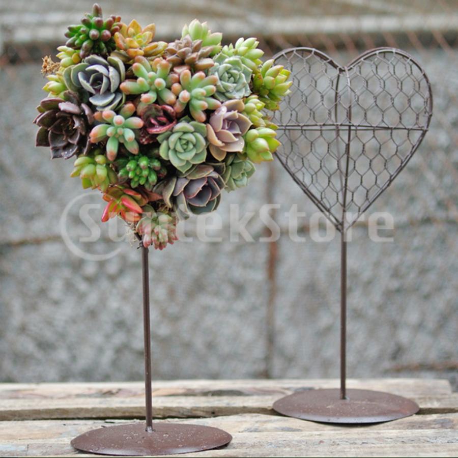 多肉 ハート型プランター 多肉 ハート型プランター 【公式通販】