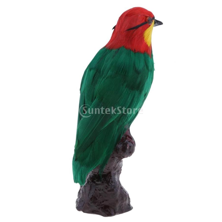 鳥モデル 置物 生き生き 人工羽根 ガーデン 園芸 オーナメント 庭の装飾 プレゼント|stk-shop|11