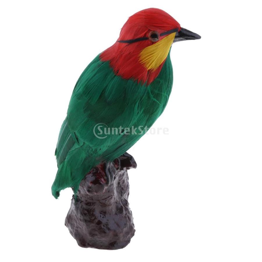 鳥モデル 置物 生き生き 人工羽根 ガーデン 園芸 オーナメント 庭の装飾 プレゼント|stk-shop|08