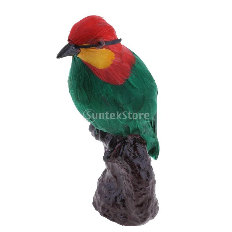 鳥モデル 置物 生き生き 人工羽根 ガーデン 園芸 オーナメント 庭の装飾 プレゼント|stk-shop|10