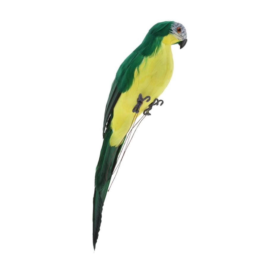 6スタイルeに自然鳥飾りコンゴウインコオウム屋外パティオ植物立っている人工羽動物モデル玩具教育プロップ結婚式の装飾 緑 Stkショップ 通販 Yahoo ショッピング