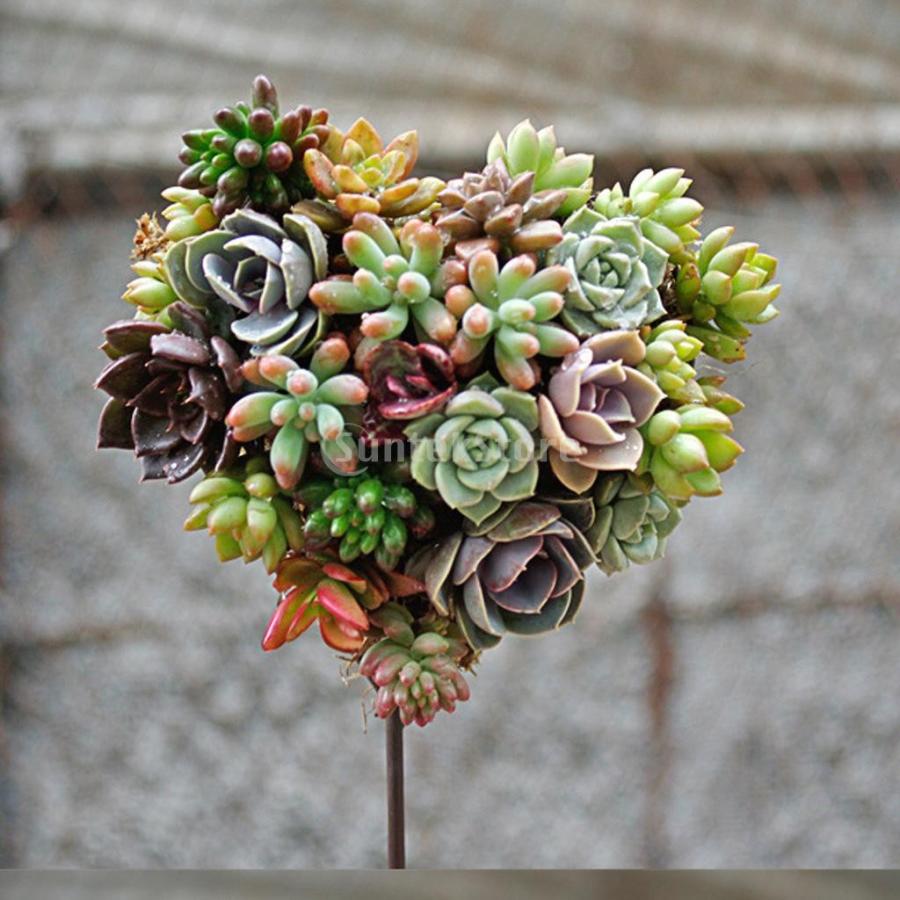 金属ワイヤー フラワースタンド ハート型 植物ホルター プランター