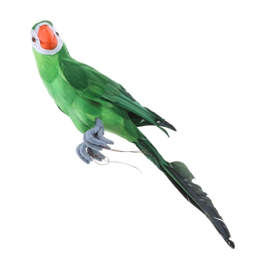 オウム 鳥の置物 人工フェザー 現実的 庭の装飾 インテリア 45cm 緑 Stkショップ 通販 Yahoo ショッピング