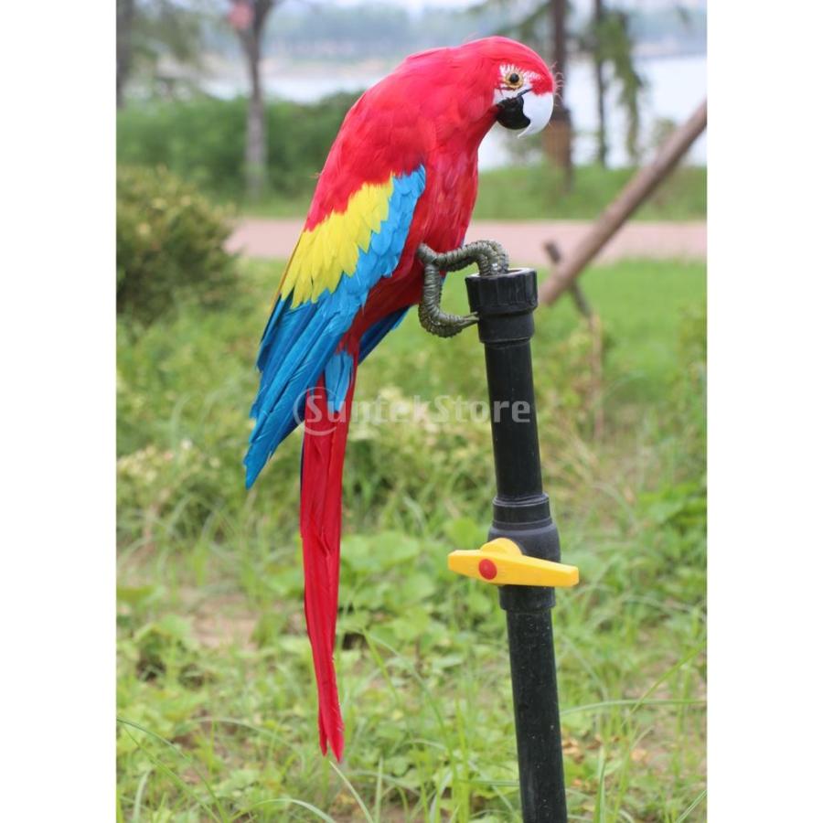 最大45 Offクーポン 鳥の置物 現実的 オウム 人工羽根 インテリア 庭の装飾 カラフル 贈り物 Supplystudies Com