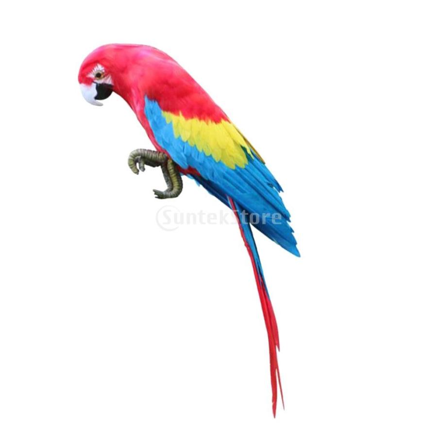 鳥の置物 現実的 オウム 人工羽根 インテリア 庭の装飾 カラフル 贈り物 60019115 Stkショップ 通販 Yahoo ショッピング