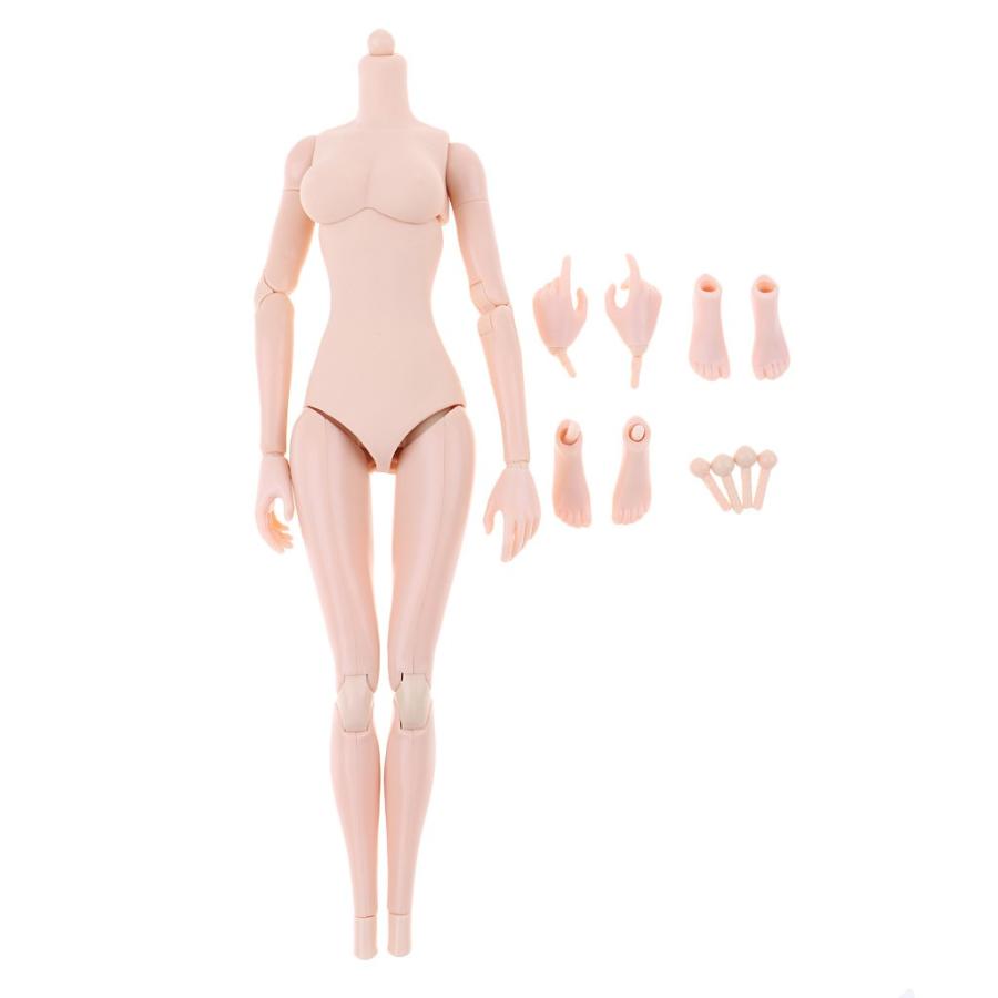 プラスチック 1/6スケール 女性ボディモデル 12インチアクション