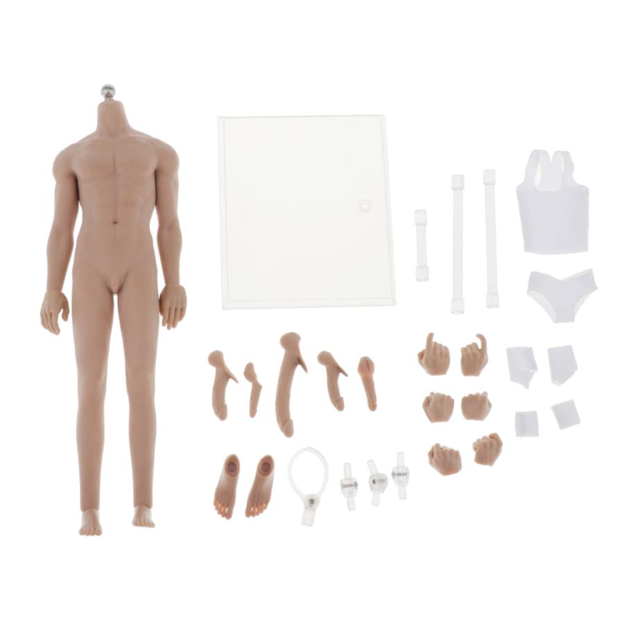 1 6超柔軟な男性シームレスボディスケルトン筋肉ヌード小麦皮 Stkショップ 通販 Yahoo ショッピング