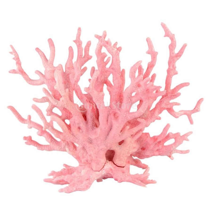 全2色 人工珊瑚 植物 水槽 タンク 背景 装飾 オーナメント - ピンク, S :64000270:STKショップ - 通販 -  Yahoo!ショッピング