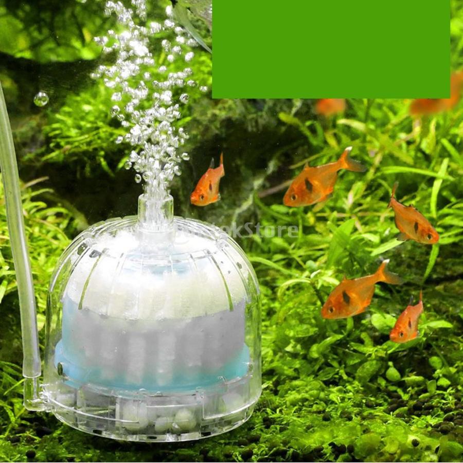 バイオアクアリウムス 水槽 エア 酸素 ポンプ フィルター 駆動 ボックス フィルター Stkショップ 通販 Yahoo ショッピング