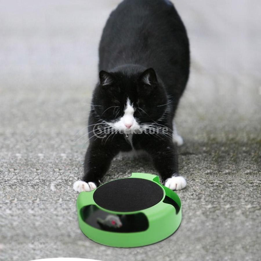 ペット 猫 面白い おもちゃ 回転 玩具 キャッチ キャッチ アクティブ Stkショップ 通販 Yahoo ショッピング