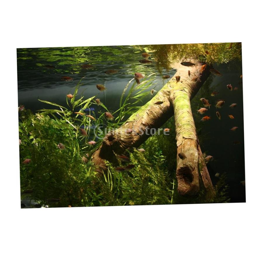 魚のタンク 水槽 背景 ステッカー 装飾 自己接着剤 飾り物 多種選べる 4 S Stkショップ 通販 Yahoo ショッピング