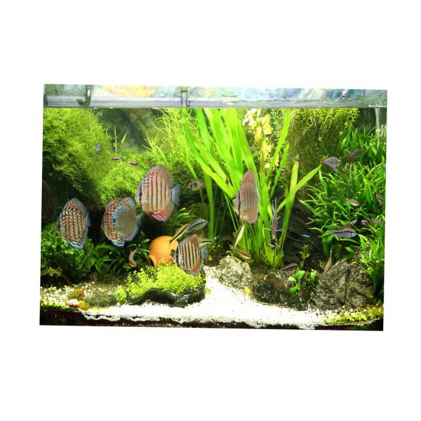 水族館の背景ステッカー 片面壁紙水槽の背景水生植物 魚 Xs Hbpscs Com