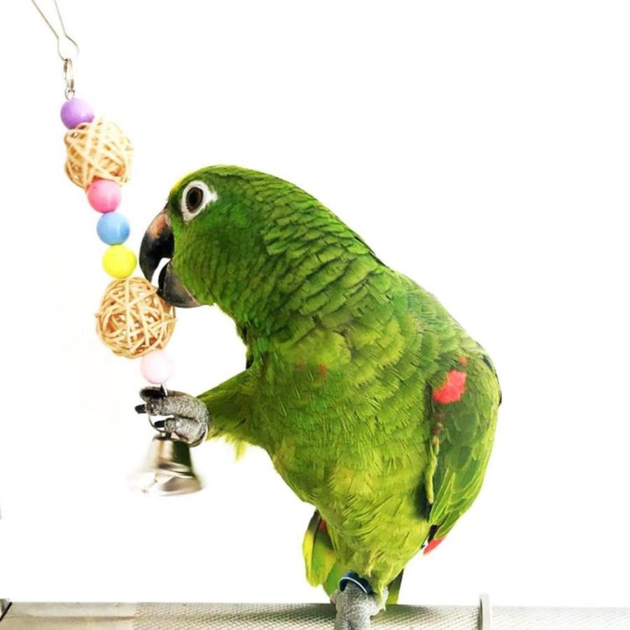 鳥オウム木製スイング立っている噛むおもちゃインコオカメインコセキセイインコ Stkショップ 通販 Yahoo ショッピング