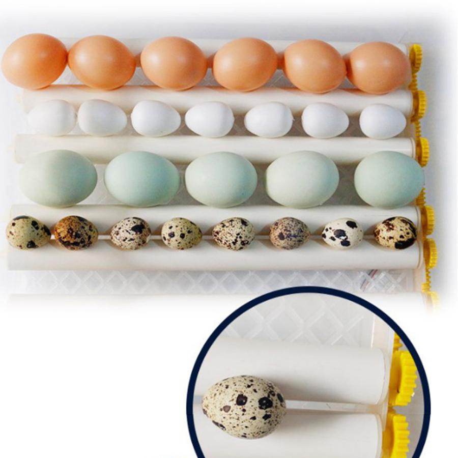 自動16 36デジタルひよこ鳥の卵インキュベーターハッチャー16個の卵 Stkショップ 通販 Yahoo ショッピング