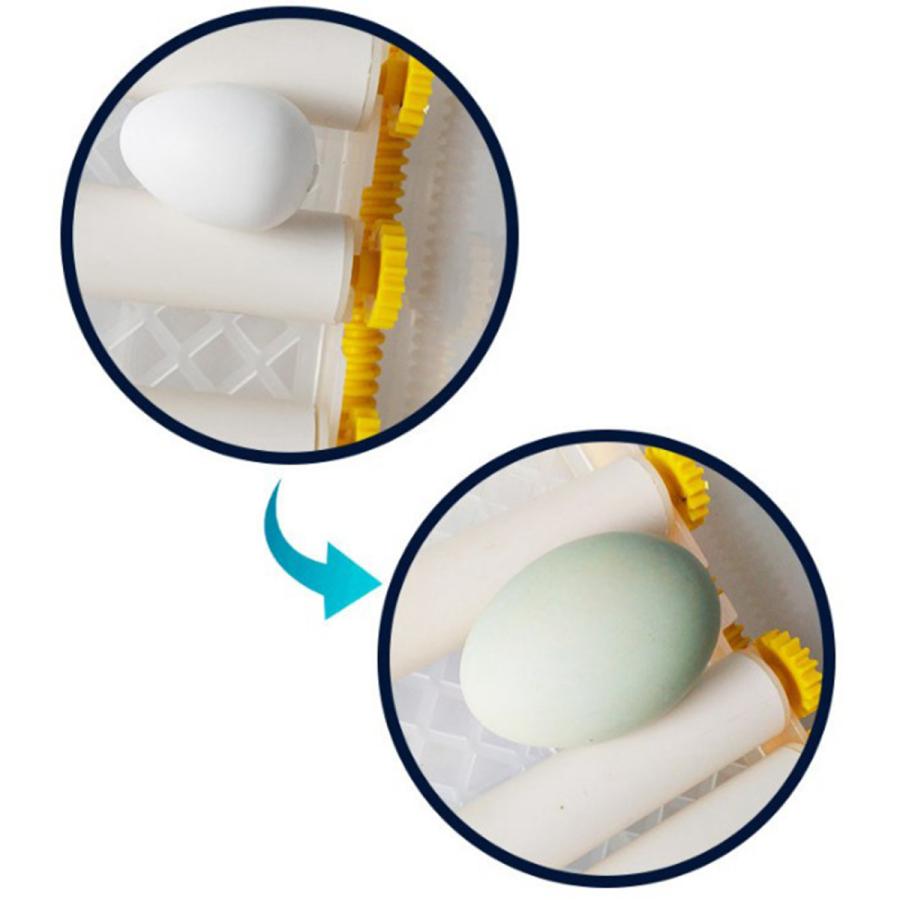 自動16 36デジタルひよこ鳥の卵インキュベーターハッチャー16個の卵 Stkショップ 通販 Yahoo ショッピング