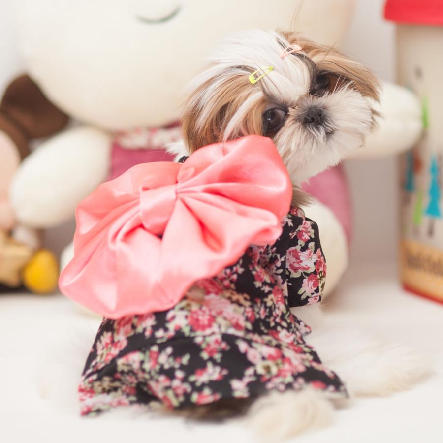 猫日本の着物ドレスアップコスチュームスカート服小型犬用Mブラック｜stk-shop｜03