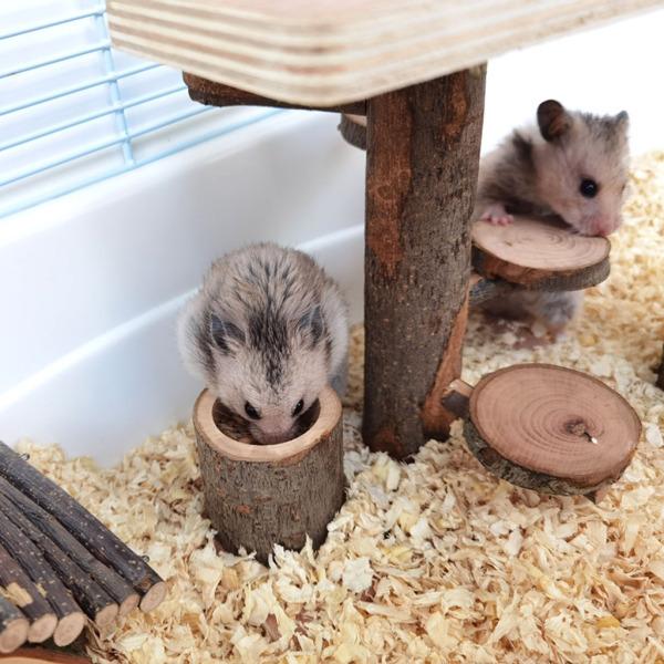 木製ハムスターおもちゃセット登山はしご小さなペット運動モルおもちゃ