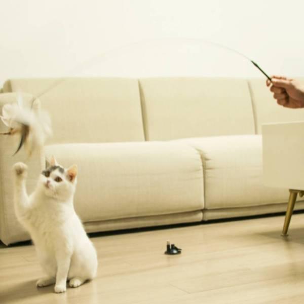 猫じゃらし 猫のおもちゃ ベル付き 羽 強力吸盤 猫用品 屋内 猫用 猫 おもちゃ トレーニングツール ふわふわ 鈴 釣竿 ネコ|stk-shop|04