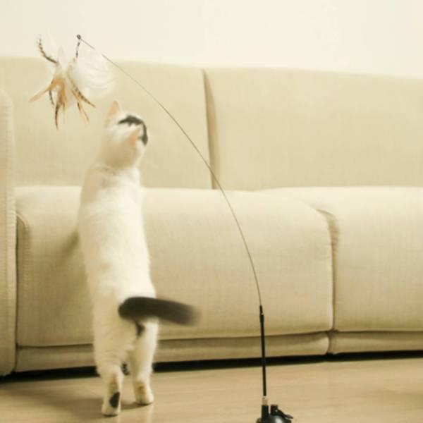 猫じゃらし 猫のおもちゃ ベル付き 羽 強力吸盤 猫用品 屋内 猫用 猫 おもちゃ トレーニングツール ふわふわ 鈴 釣竿 ネコ|stk-shop|05