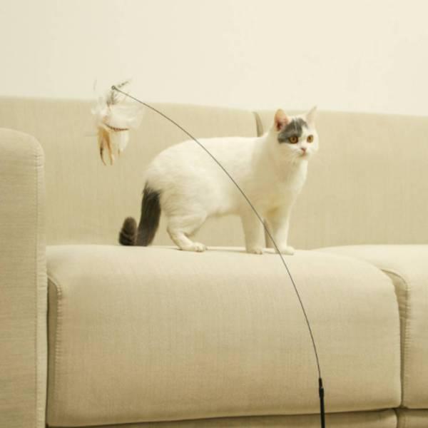 猫じゃらし 猫のおもちゃ ベル付き 羽 強力吸盤 猫用品 屋内 猫用 猫 おもちゃ トレーニングツール ふわふわ 鈴 釣竿 ネコ|stk-shop|06