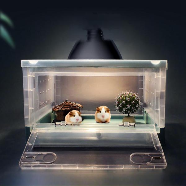 22正規激安 トカゲマウスホワイト用の折りたたみ式爬虫類給餌ボックスハムスター繁殖ケージ生息地 Shipsctc Org