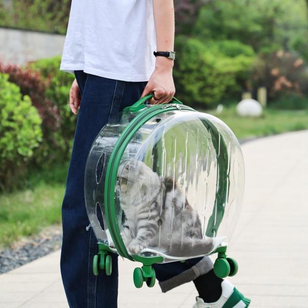 ペットトロリーケースキャリア猫犬通気性ローリングラゲッジバッグキャリーバッググリーンストライプ_7