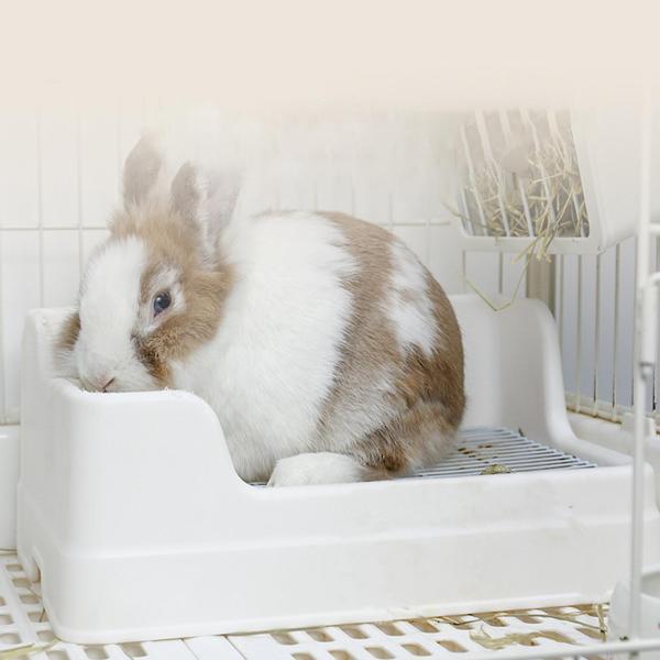 うさぎ 飼育グッズ まとめ売り 犬猫小動物用 うさぎトイレボックスペットトイレ猫うさぎバニー小動物トイレ