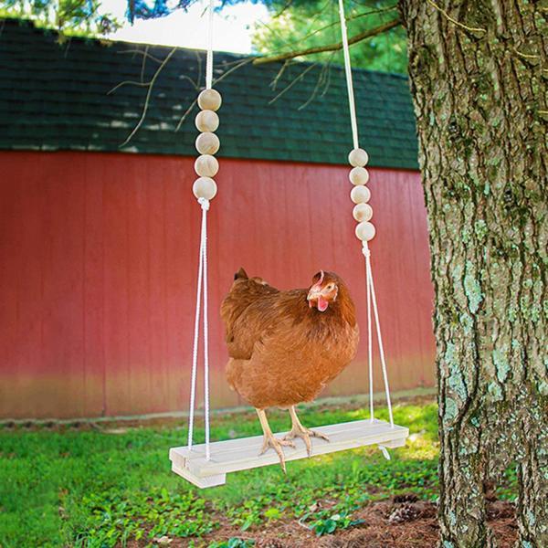 手作りの鶏のブランコ鶏小屋のおもちゃ小さなインコのフィンチのための