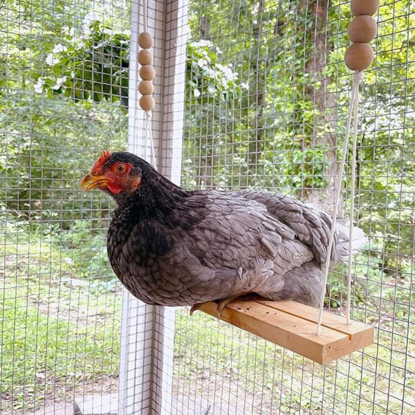 手作りの鶏のブランコ鶏小屋のおもちゃ小さなインコのフィンチのための