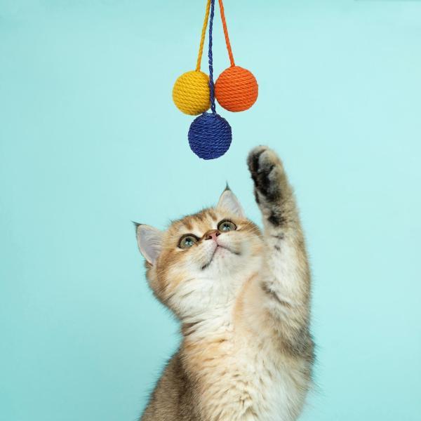 猫のおもちゃのボール、耐久性のあるキャッチャー ティーザー サイザル スクラッチ インタラクティブ  子猫用 キャッチ トレーニング｜stk-shop｜03