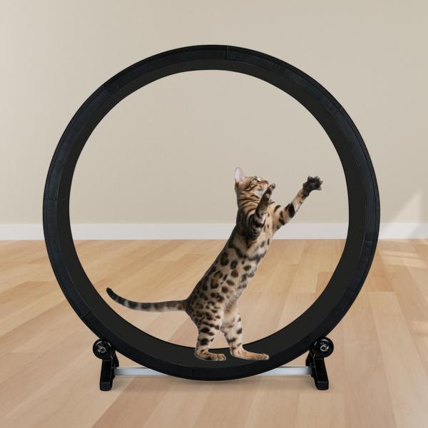 キャット ランニング ホイール スクラッチャー ボード ミュート トレーナー 子猫 トレーニング キティ用 キャット ランニング 子猫