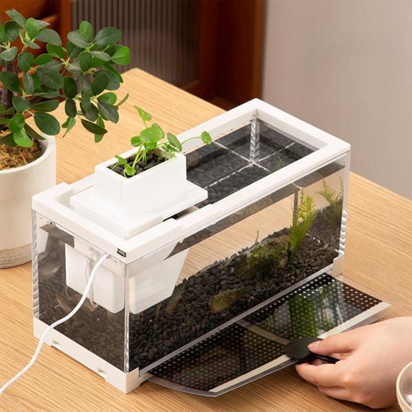 メダカ水槽 通販 ビオトープ 水換え不要 植物 ビオトープ水換え不要
