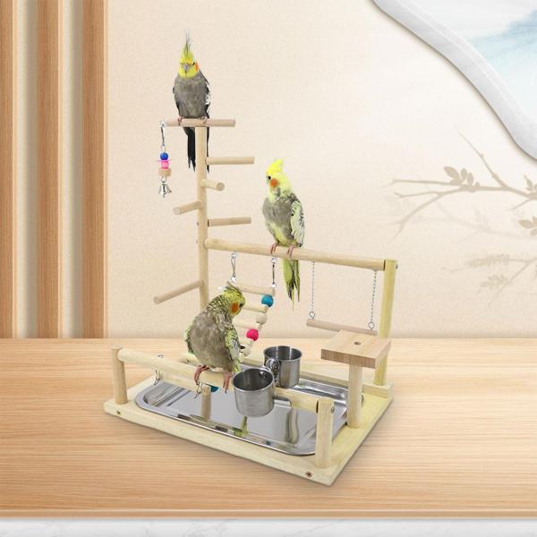 鳥、オウム、遊び場、止まり木、遊び場、ラブバード、セキセイインコの