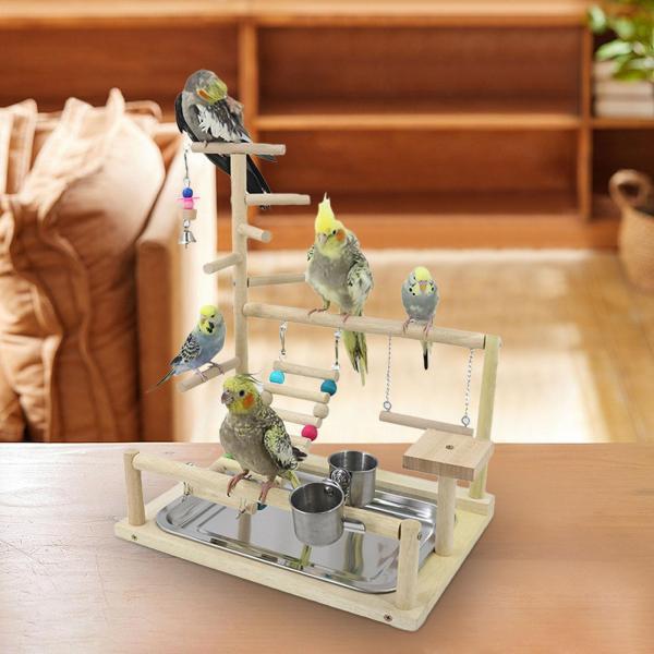 鳥、オウム、遊び場、止まり木、遊び場、ラブバード、セキセイインコの