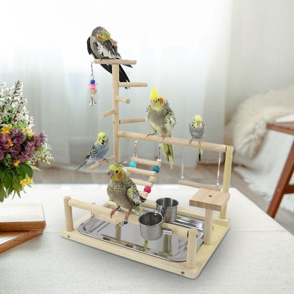 鳥、オウム、遊び場、止まり木、遊び場、ラブバード、セキセイインコの