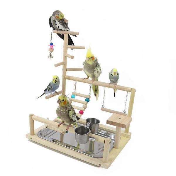 鳥、オウム、遊び場、止まり木、遊び場、ラブバード、セキセイインコの