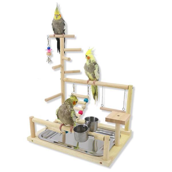 鳥、オウム、遊び場、止まり木、遊び場、ラブバード、セキセイインコの