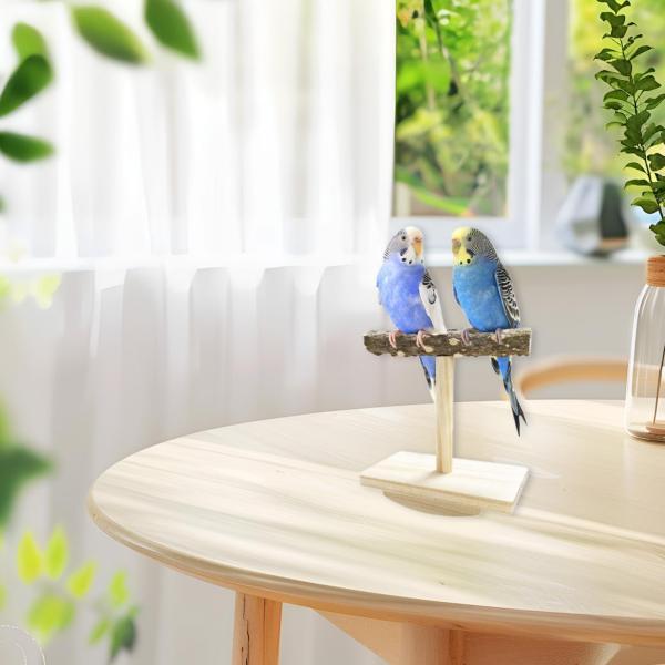 鳥スタンド 止まり木おもちゃ、オウムトレーニング 止まり木ジム
