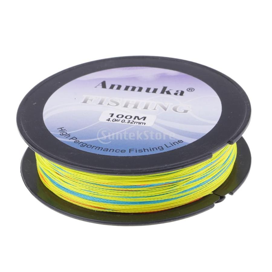 釣りライン 釣り糸 PE 1m-1color 100m 防水 牽引力 多線径選べ - 4