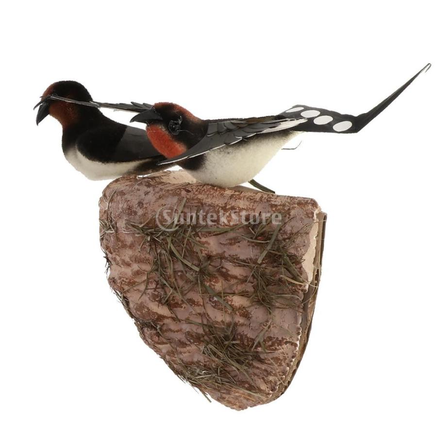 天然野生＊野鳥＊とっても可愛い枝付き【鳥の巣】巣＊小鳥の巣＊ネイティブオブジェ 楽天市場】鳥の巣 オブジェの通販