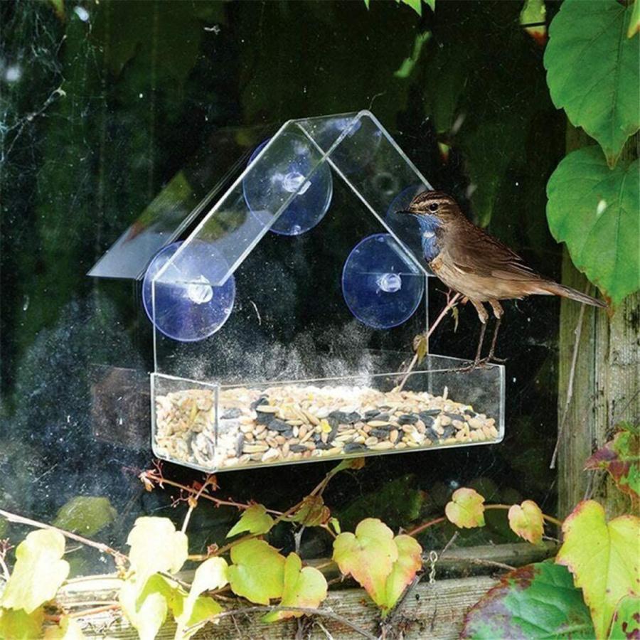 窓鳥の餌箱-3強力な吸引カップの鳥シードトレイ外のための鳥の家