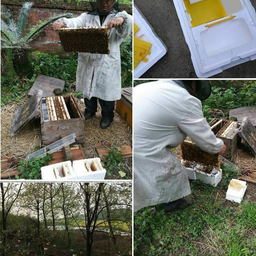 泡蜂の巣箱蜂の繁殖ボックス女王交配ボックス収穫ツール用品 Stkショップ 通販 Yahoo ショッピング