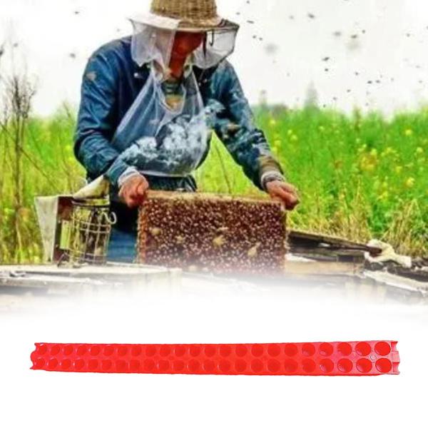 女王蜂のケージキャッチャーのためのプラスチックの安全な捕獲と輸送女王蜂のキャッチツール女王蜂のキャッチャー女王蜂のケージ｜stk-shop｜04