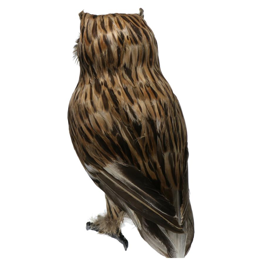 人工フクロウ鳥の羽現実的な剥製の家の庭の装飾 : STKショップ 人工フクロウ鳥の羽現実的な剥製の家の庭の装飾 : STKショップ