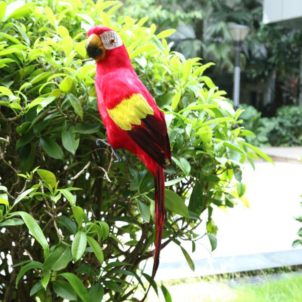 大型人工オウム鳥リアルな家の装飾Budgie剥製 : STKショップ - 通販