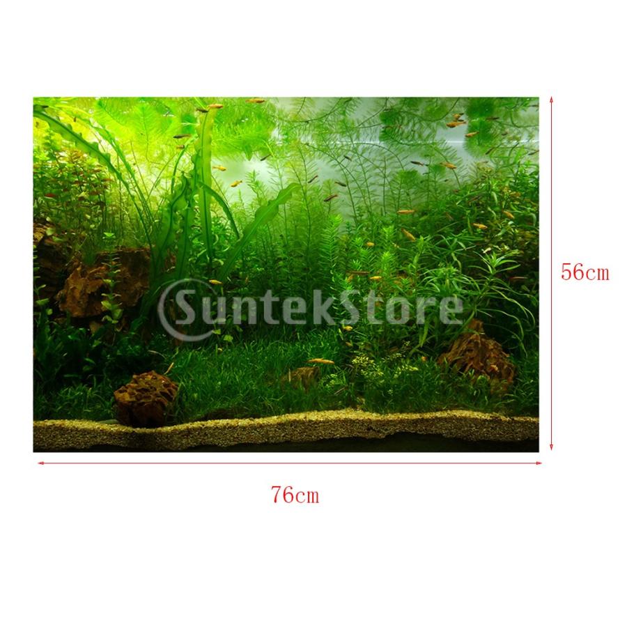 PVC水族館の背景ポスター.魚タンク植物景色防水 いよいよ人気ブランド
