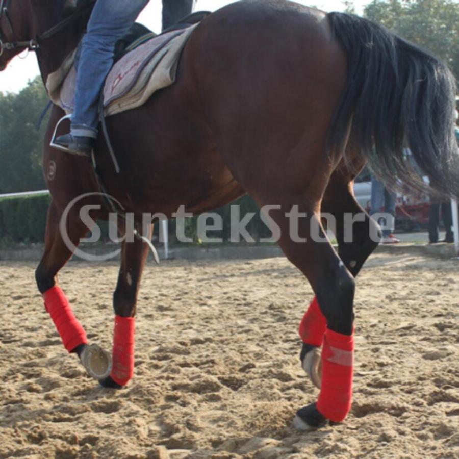 4本 乗馬 馬の足の包帯 レッグプロテクター 前肢後肢 馬具 長さ300cm 全4色 Stkショップ 通販 Yahoo ショッピング