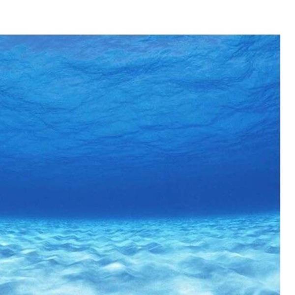 Dtekoj 60X24インチ 石水族館の背景、ロックフィッシュタンクの背景、天然ロッキーガラステラリウム背景 EVA両面テープ8枚 レプリカライブロック7選！海水水槽・サンゴ水槽向けの擬岩を特集！｜東京アクアガーデン