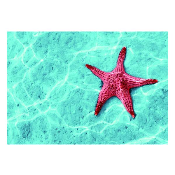 水槽背景 バックグラウンド バックスクリーン ステッカー 水族館 飾り 防水 Pvc 海星 全３サイズ 90 Off