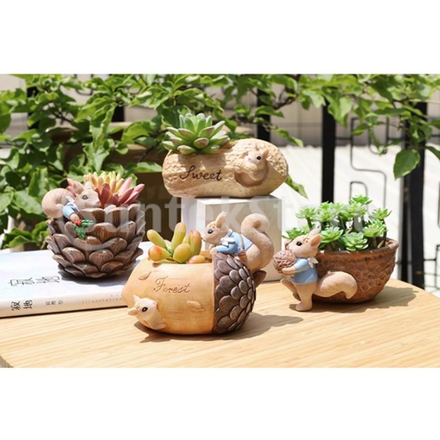 多肉植物ポット サボテン鉢 プランター 小物入れ ナッツ形 樹脂製